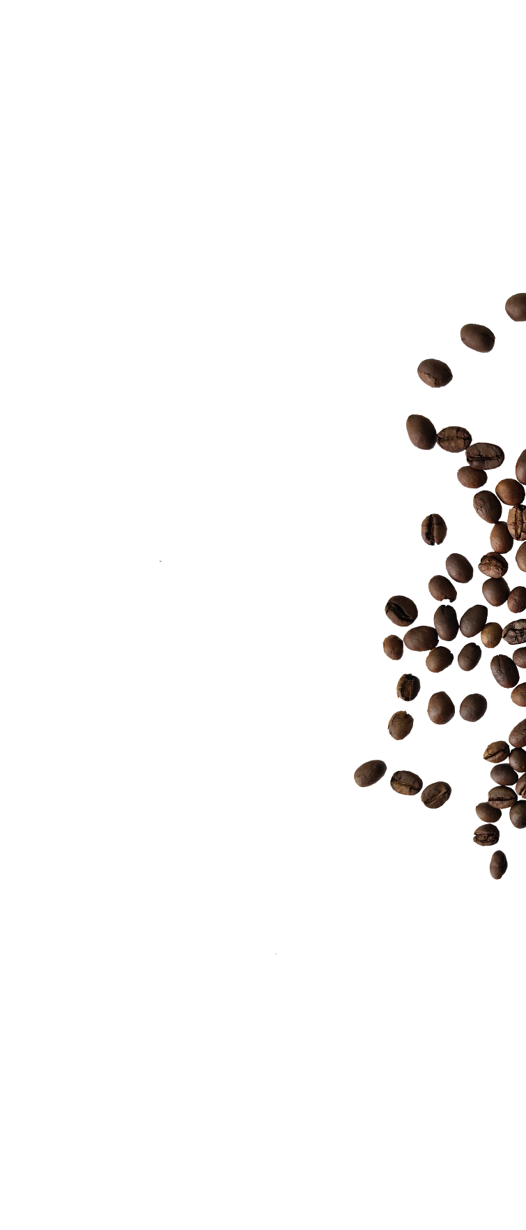 Café Fundo